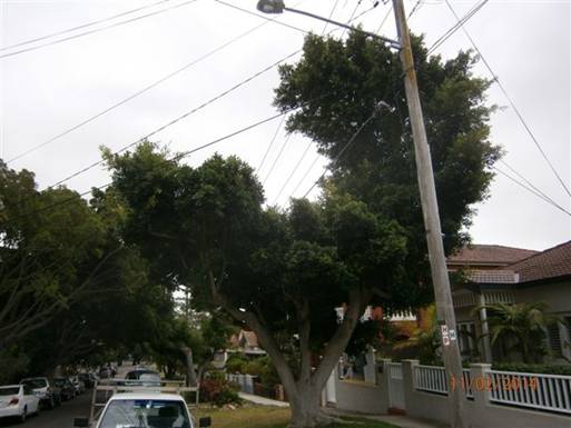 Description: 10%20Helena%20St