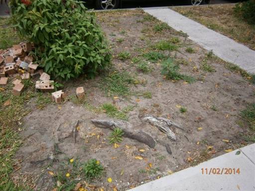 Description: 10%20Helena%20St%204