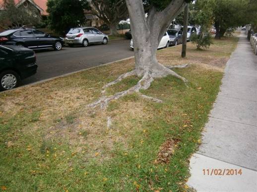 Description: 10%20Helena%20St%205