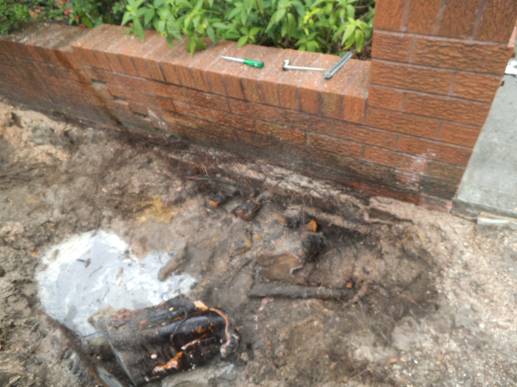 Description: DSCF9102