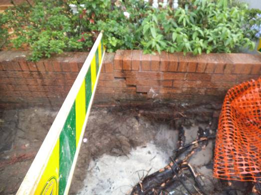 Description: DSCF9084