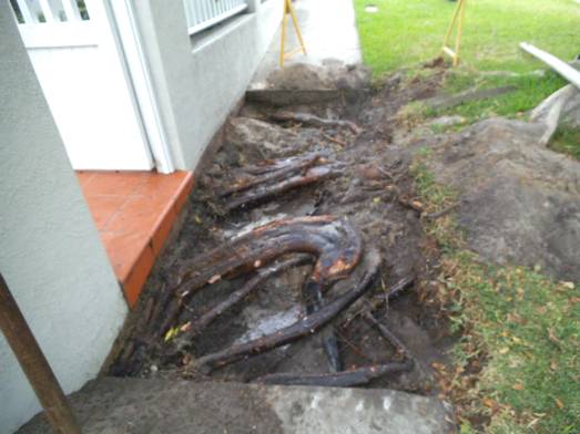 Description: DSCF0411