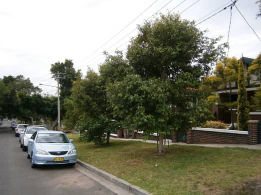 Description: 14 Helena St - 14 Feb 2014