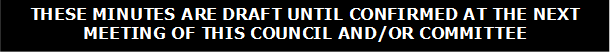 THESE MINUTES ARE DRAFT UNTIL CONFIRMED AT THE NEXT MEETING OF THIS COUNCIL AND/OR COMMITTEE 
 

