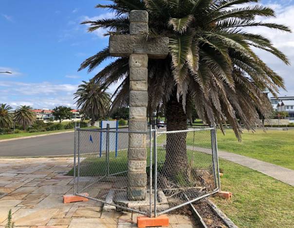 A palm tree

Description automatically generated